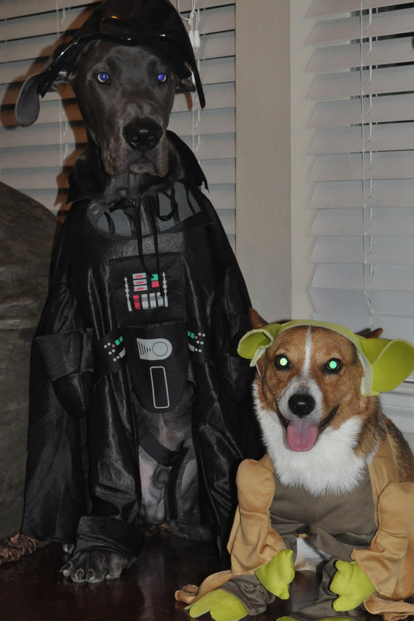 Darth Vader & Yoda