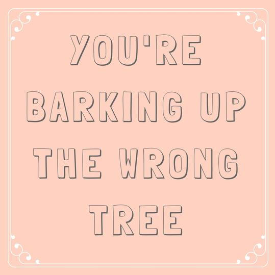 Du er Barking up the Wrong Tree