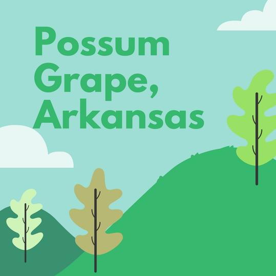 ポッサム Grape, Arkansas