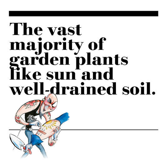 17. The vast majority of garden plants like sun and well-drained soil.