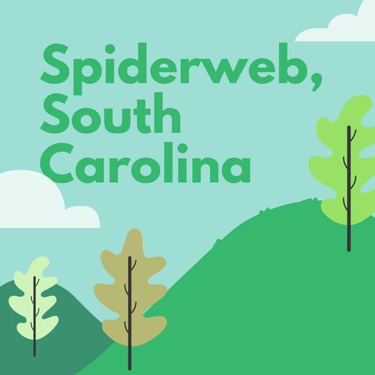 スパイダーウェブ， South Carolina