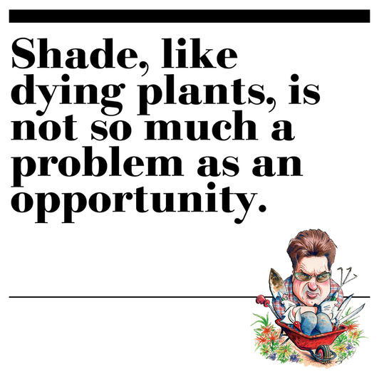 18. Shade, like dying plants, is not so much a problem as an opportunity.