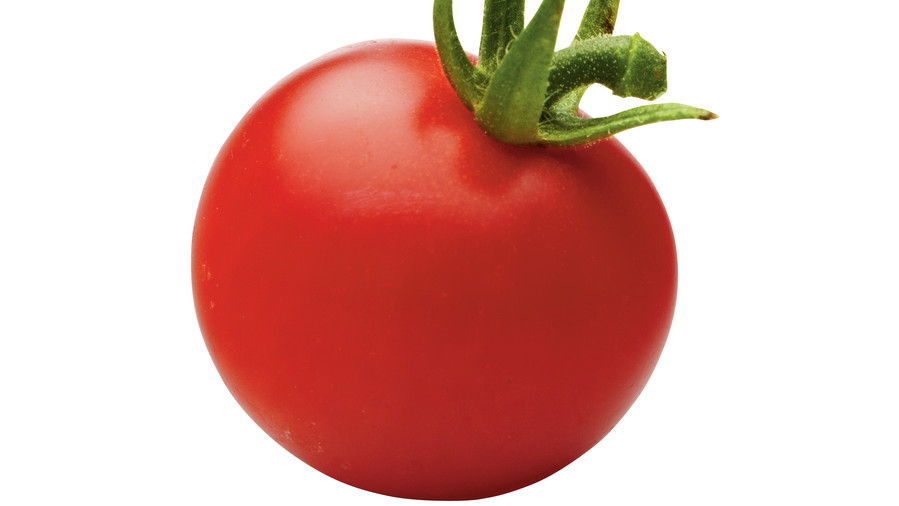 甘い Million Tomato