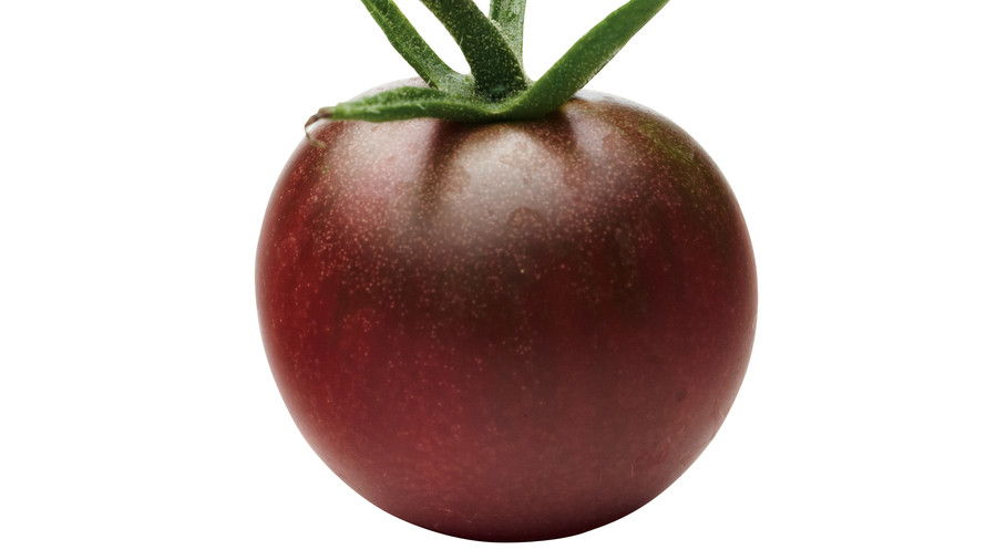 ブラック Cherry Tomato 