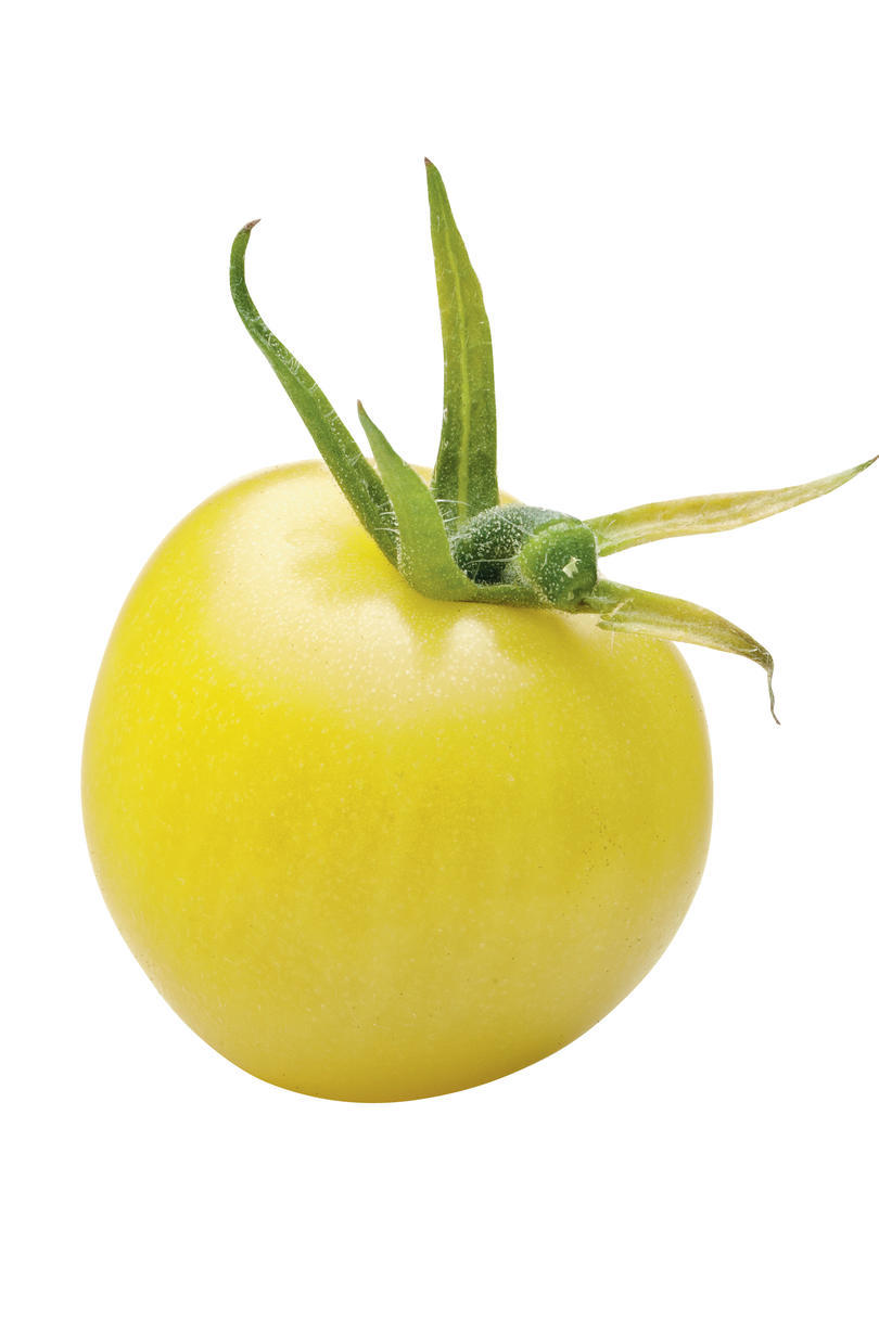 レモン Cherry Tomato