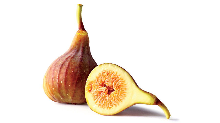 Fig Fruit Varieties: 'O'Rourke' Fig
