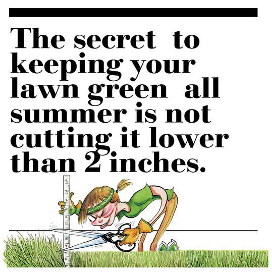 21. The secret to keeping your lawn green all summer is not cutting it lower than 2 inches.