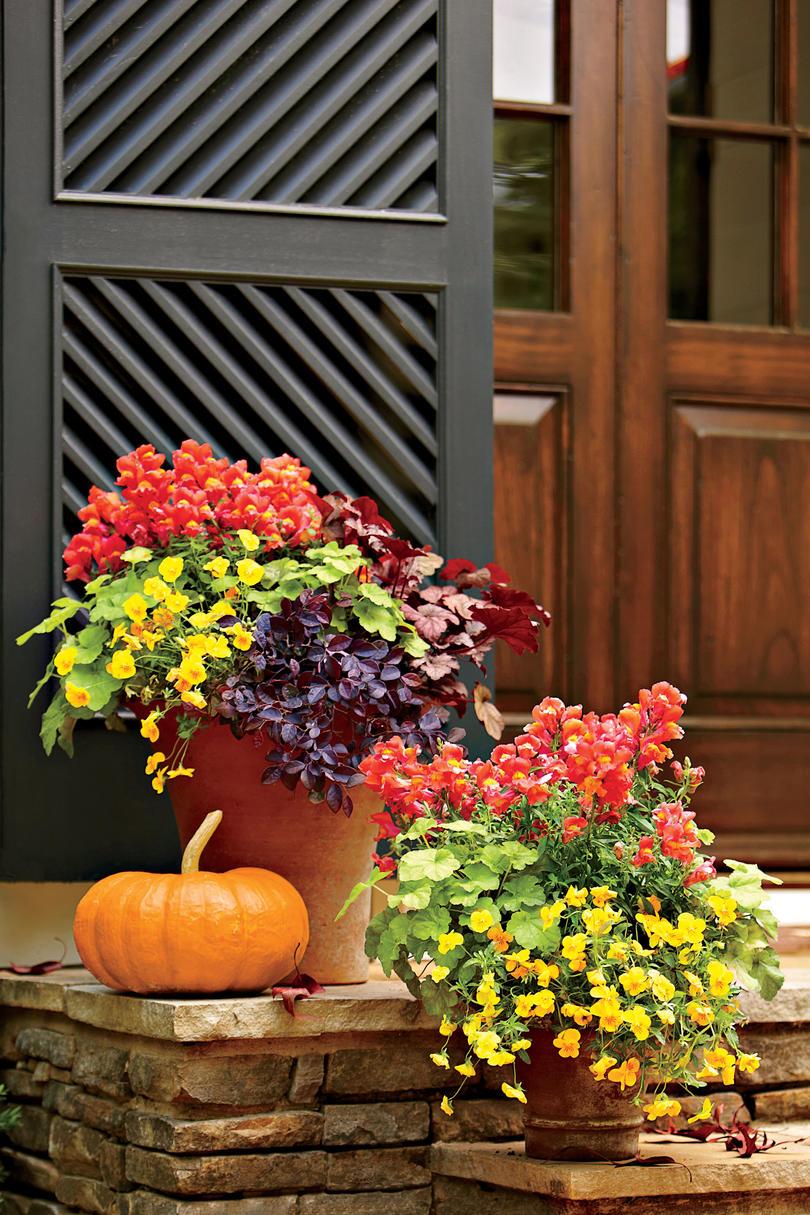植物 a Vibrant Fall Container