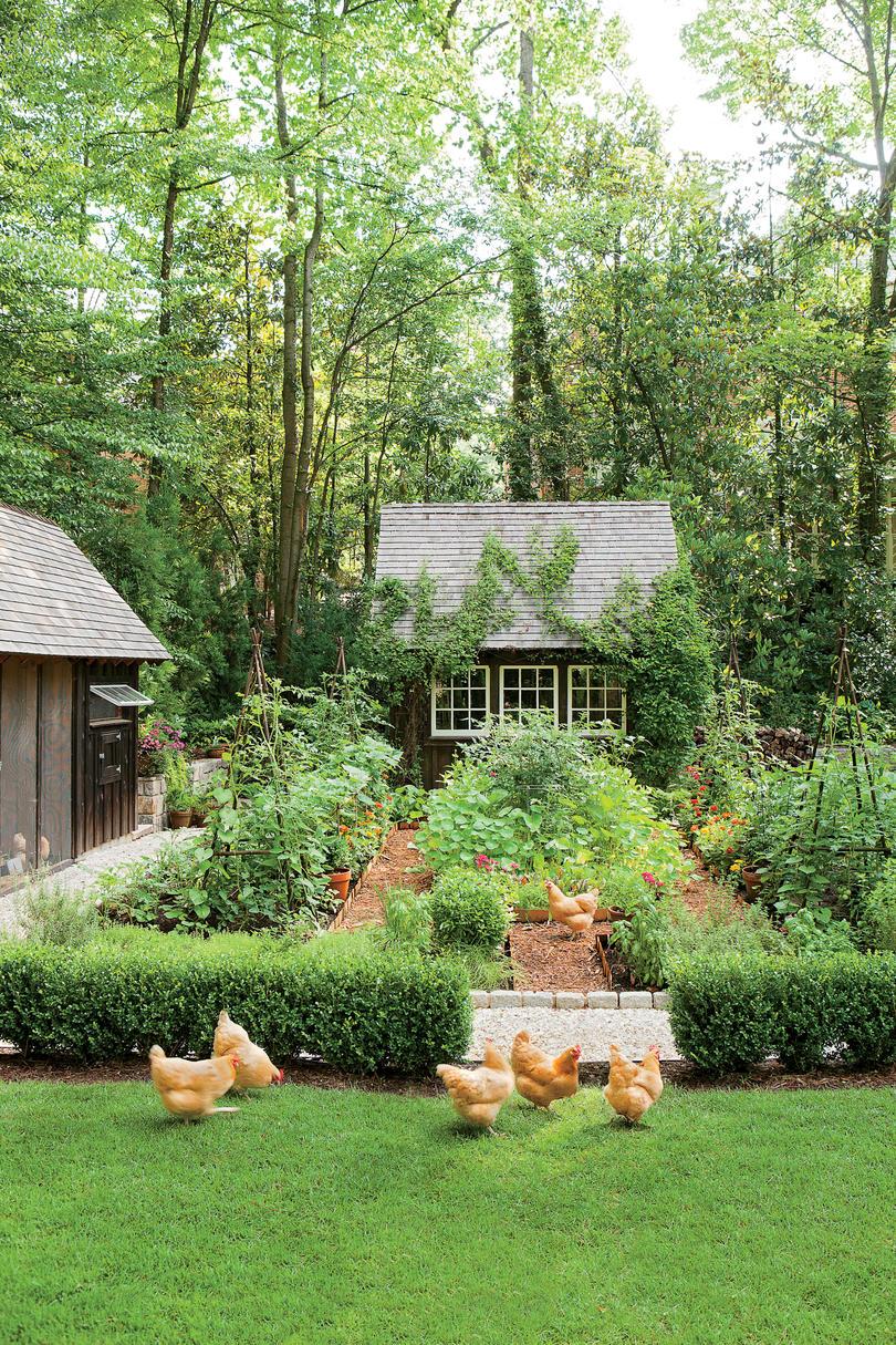 Мечта Garden with a Chicken Coop
