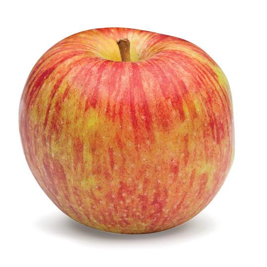 التفاحة Apple