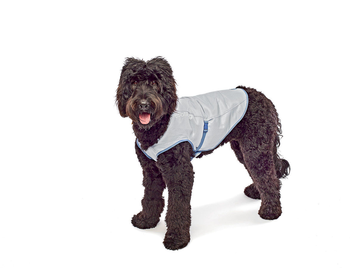 Kurgo Dog Core Cooling Vest