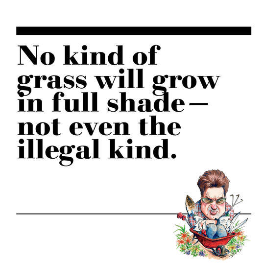 25. No kind of grass will grow in full shade—not even the illegal kind.