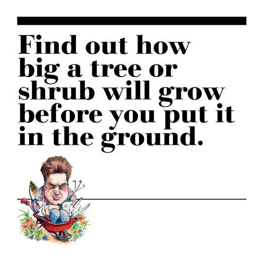 26. Find out how big a tree or shrub will grow before you put it in the ground.
