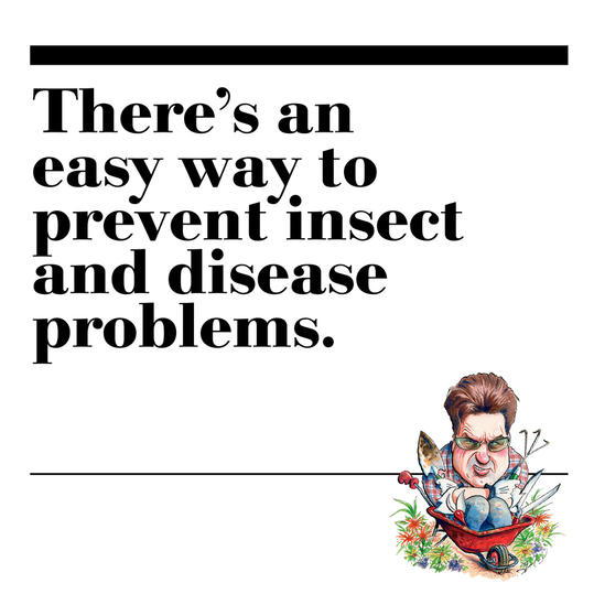 27. There’s an easy way to prevent insect and disease problems.