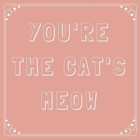 Du er the Cat’s Meow