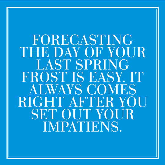 28. Forecasting the day of your last Spring frost is easy. It always comes right after your set out your impatiens.