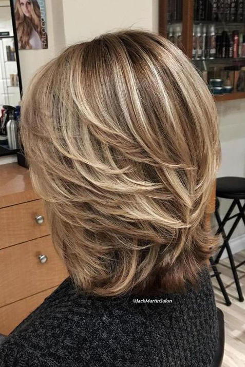 Lys Brown Hair with Blonde Highlights