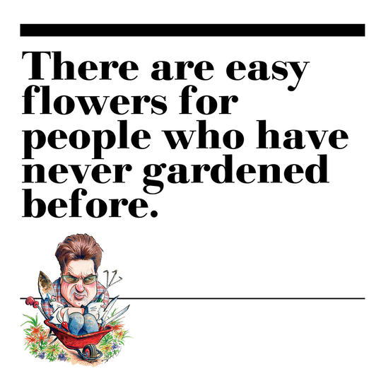 34. There are easy flowers for people who have never gardened before.