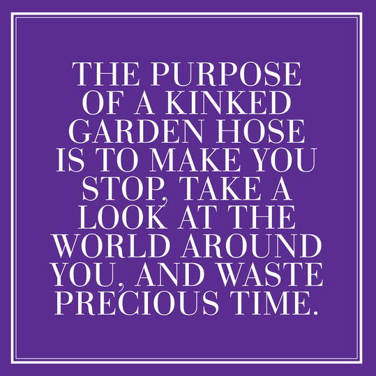 36. The purpose of a kinked garden hose is to make you stop, take a look at the world around you, and waste precious time.