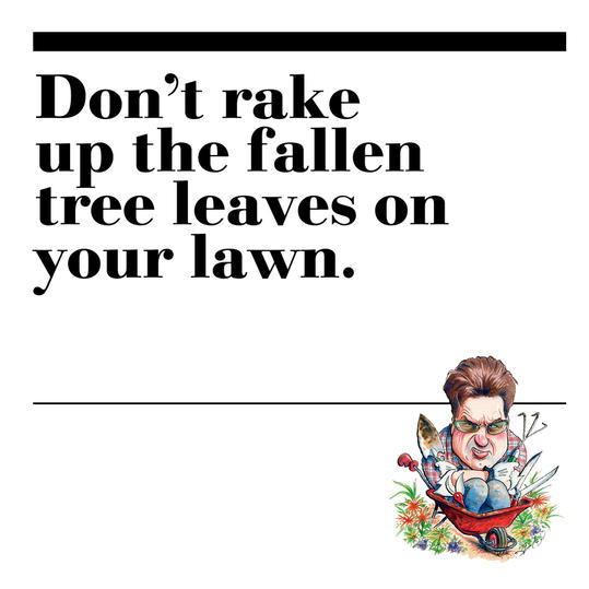 38. Don’t rake up the fallen tree leaves on your lawn.
