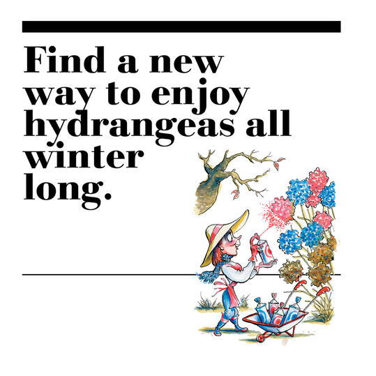 40. Find a new way to enjoy hydrangeas all winter long.