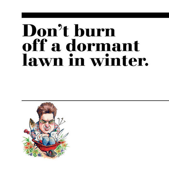 46. Don’t burn off a dormant lawn in winter.