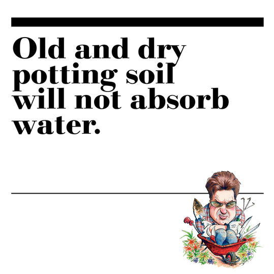 47. Old and dry potting soil will not absorb water.