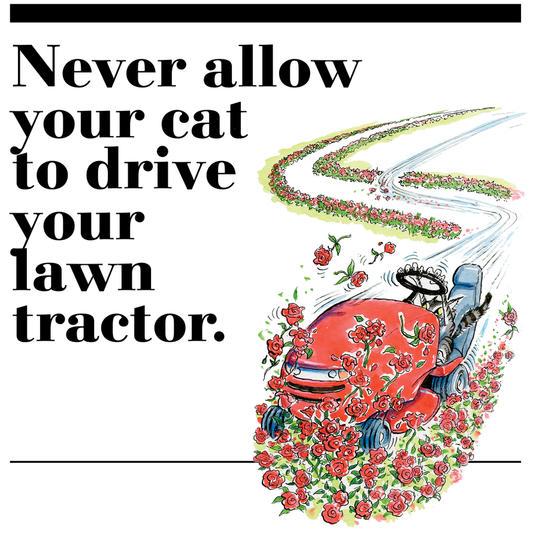 48. Never allow your cat to drive your lawn tractor. 
