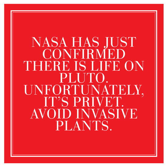 4. NASA has just confirmed there is life on Pluto. Unfortunately, it's privet. Avoid Invasive Plants. 