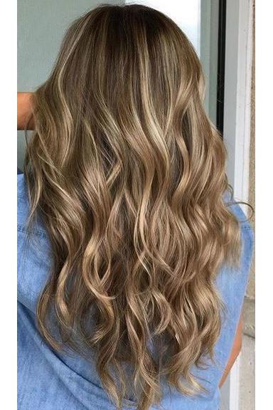 Ceniciento Brown Hair with Honey Blonde Highlights