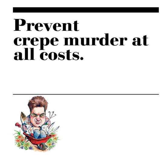 6. Prevent crepe murder at all costs. 