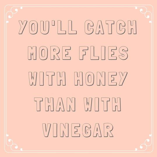 Du Catch More Flies with Honey than with Vinegar