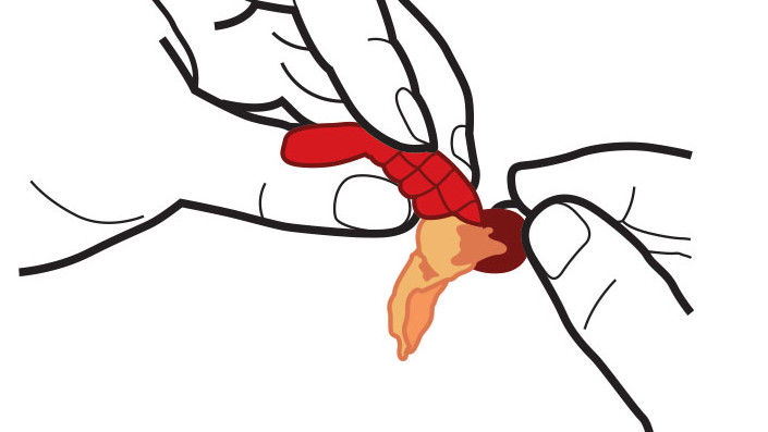 ماذا To Eat Boiled Crawfish: Peel