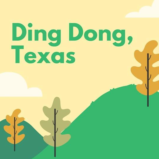 丁 Dong, Texas
