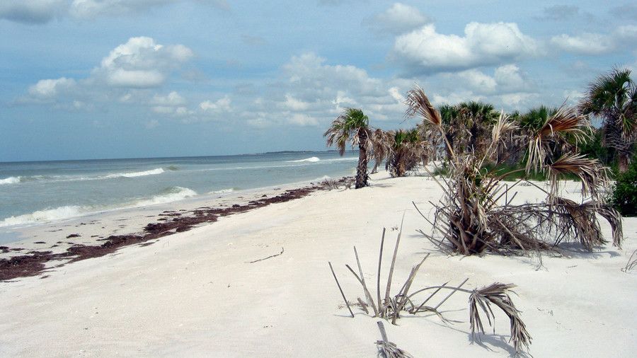 Caladesi Island (Florida)