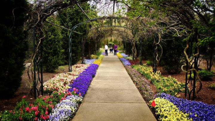 チークウッド Botanical Garden (Nashville, Tennessee) 