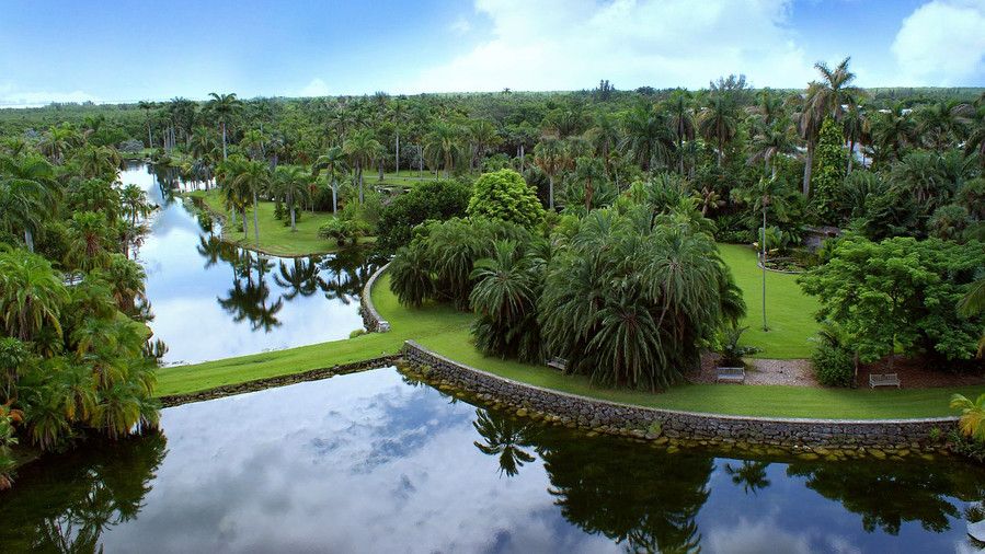 フェアチャイルド Tropical Botanic Garden (Coral Gables, Florida) 