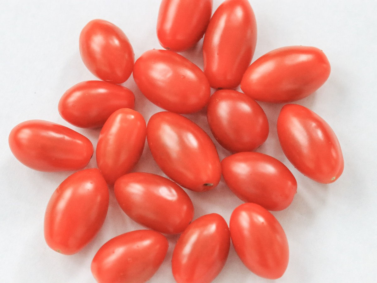 Hrozny Tomatoes