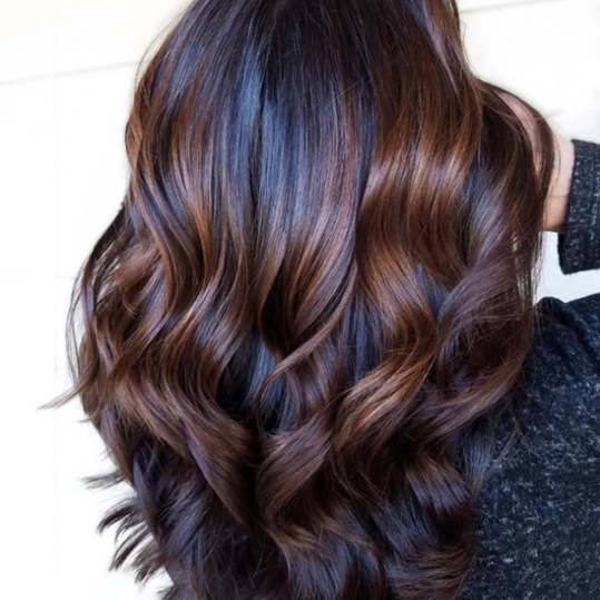 Midnat Roots with Triangular Chestnut Highlights