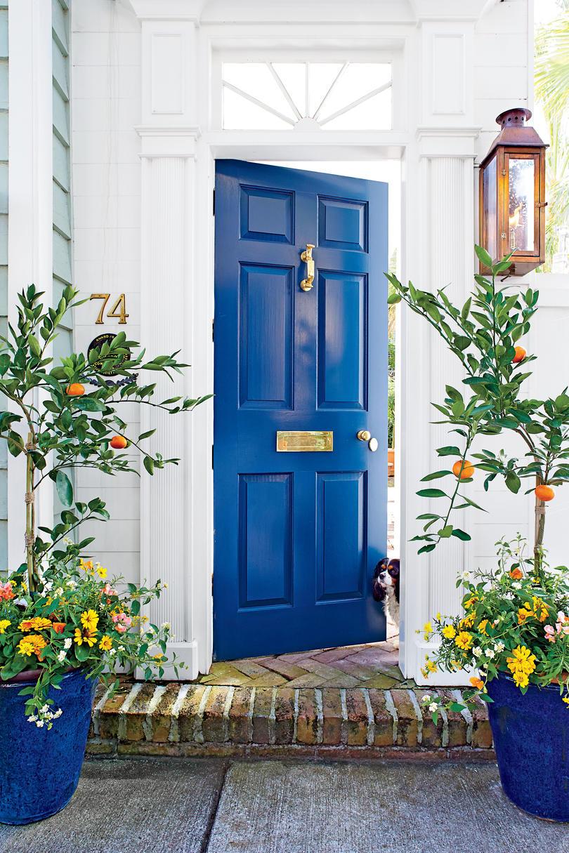 Jugar the Blues Front Door Containers
