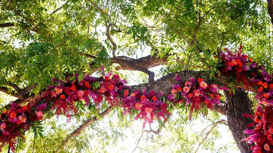 Boda Ceremony Oak Tree Florals