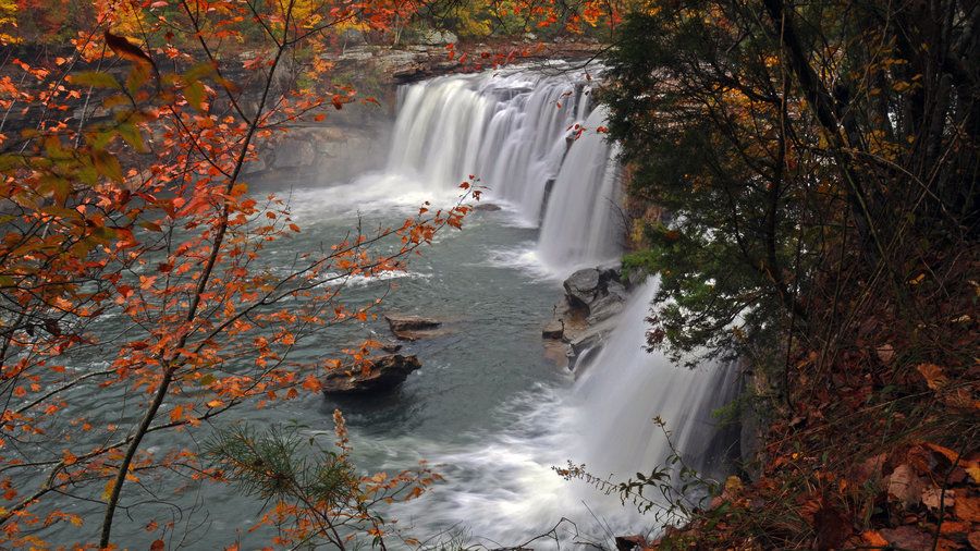 قليل River Canyon Nature Preserve Fall Color