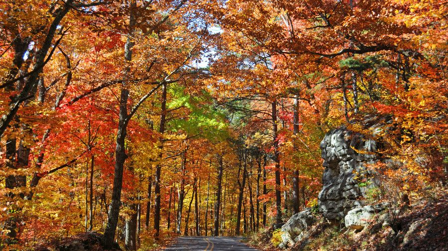 انتبه احذر خذ بالك Mountain Scenic Parkway Fall Color