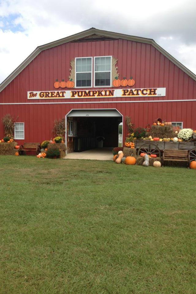 Mejor Pumpkin Patches in Every Southern State Alabama