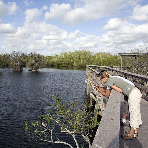 Florida Everglades: The Anhinga Trail