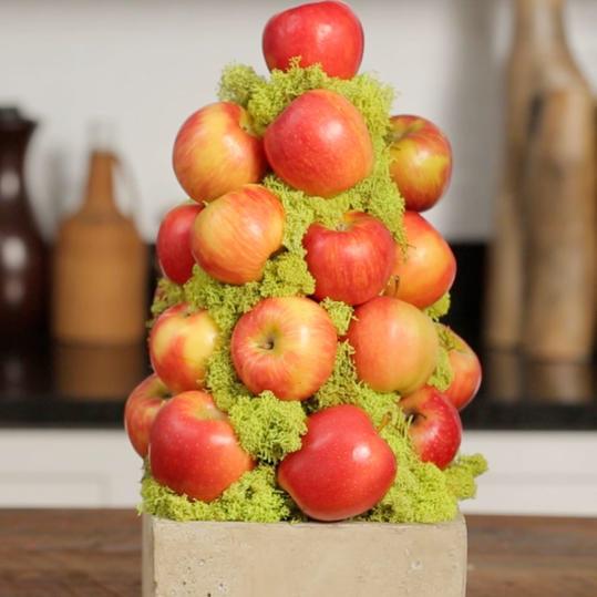 Jak To Make an Apple Topiary