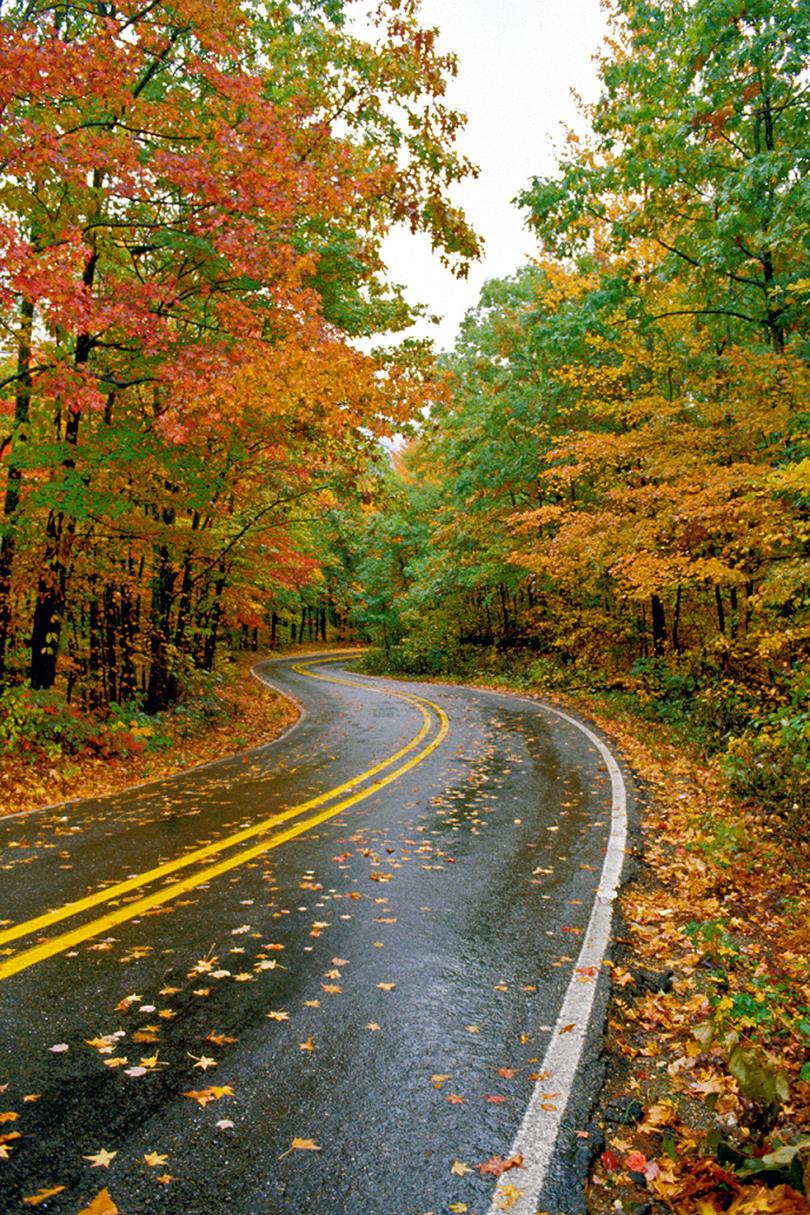 Talimena Scenic Highway 88 Fall Color