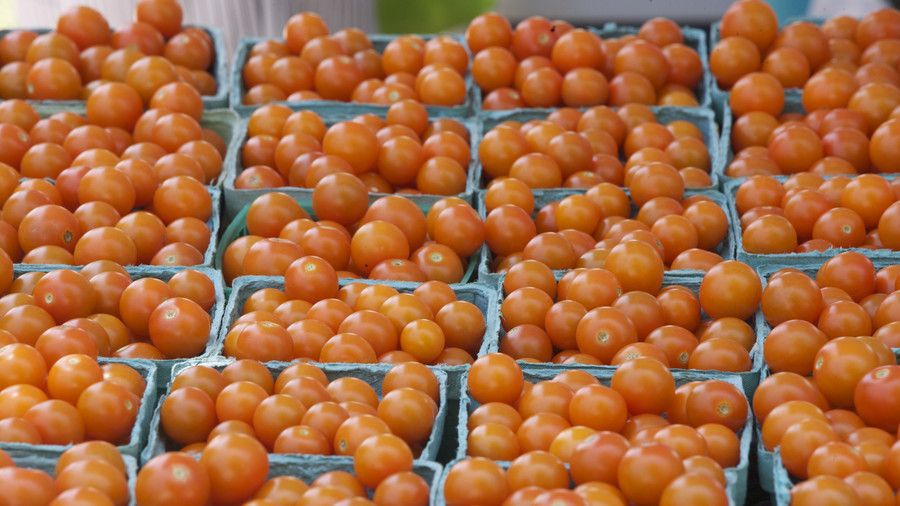 Кошници of Cherry Tomatoes