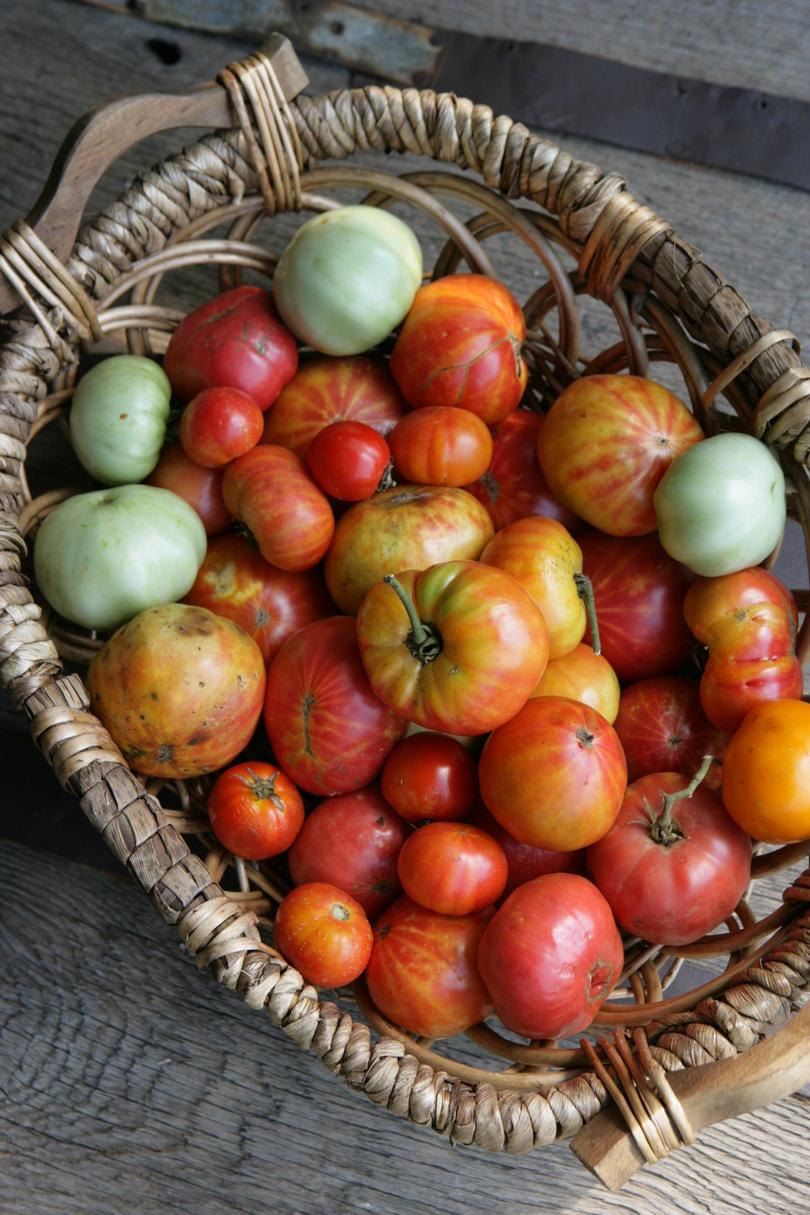 バスケット of Heirloom Tomatoes