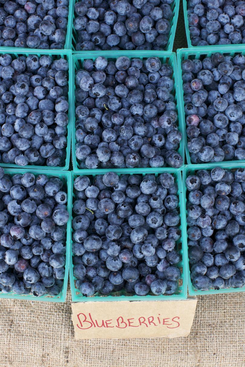 кошница of Blueberries
